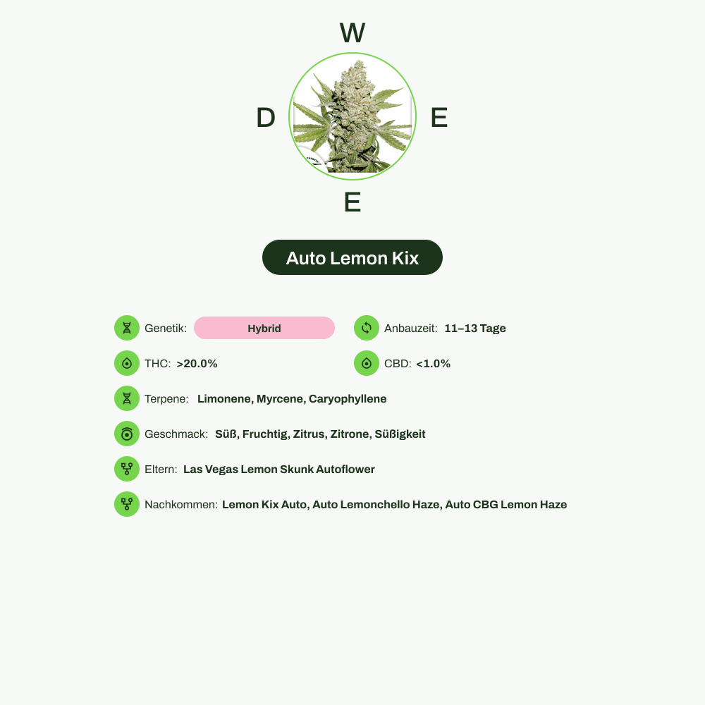 Infografik über THC-Gehalt, CBD-Gehalt, Terpene, Wirkungen, Geschmack von Auto Lemon Kix