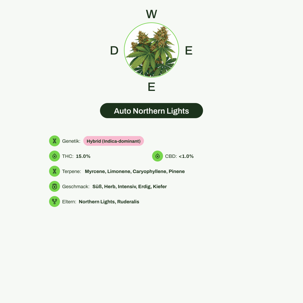 Infografik über THC-Gehalt, CBD-Gehalt, Terpene, Wirkungen, Geschmack von Auto Northern Lights