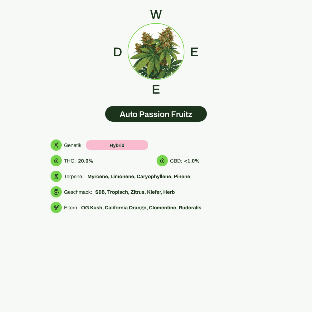 Infografik über THC-Gehalt, CBD-Gehalt, Terpene, Wirkungen, Geschmack von Auto Passion Fruitz