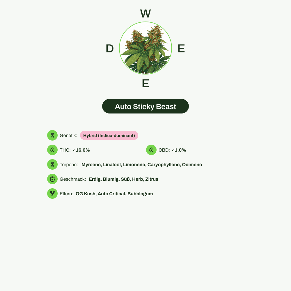 Infografik über THC-Gehalt, CBD-Gehalt, Terpene, Wirkungen, Geschmack von Auto Sticky Beast