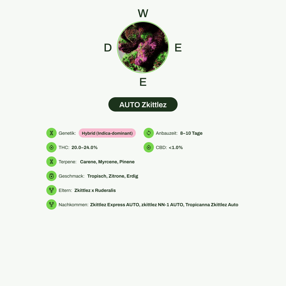 Infografik über THC-Gehalt, CBD-Gehalt, Terpene, Wirkungen, Geschmack von AUTO Zkittlez