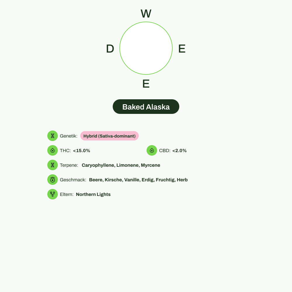 Infografik über THC-Gehalt, CBD-Gehalt, Terpene, Wirkungen, Geschmack von Baked Alaska