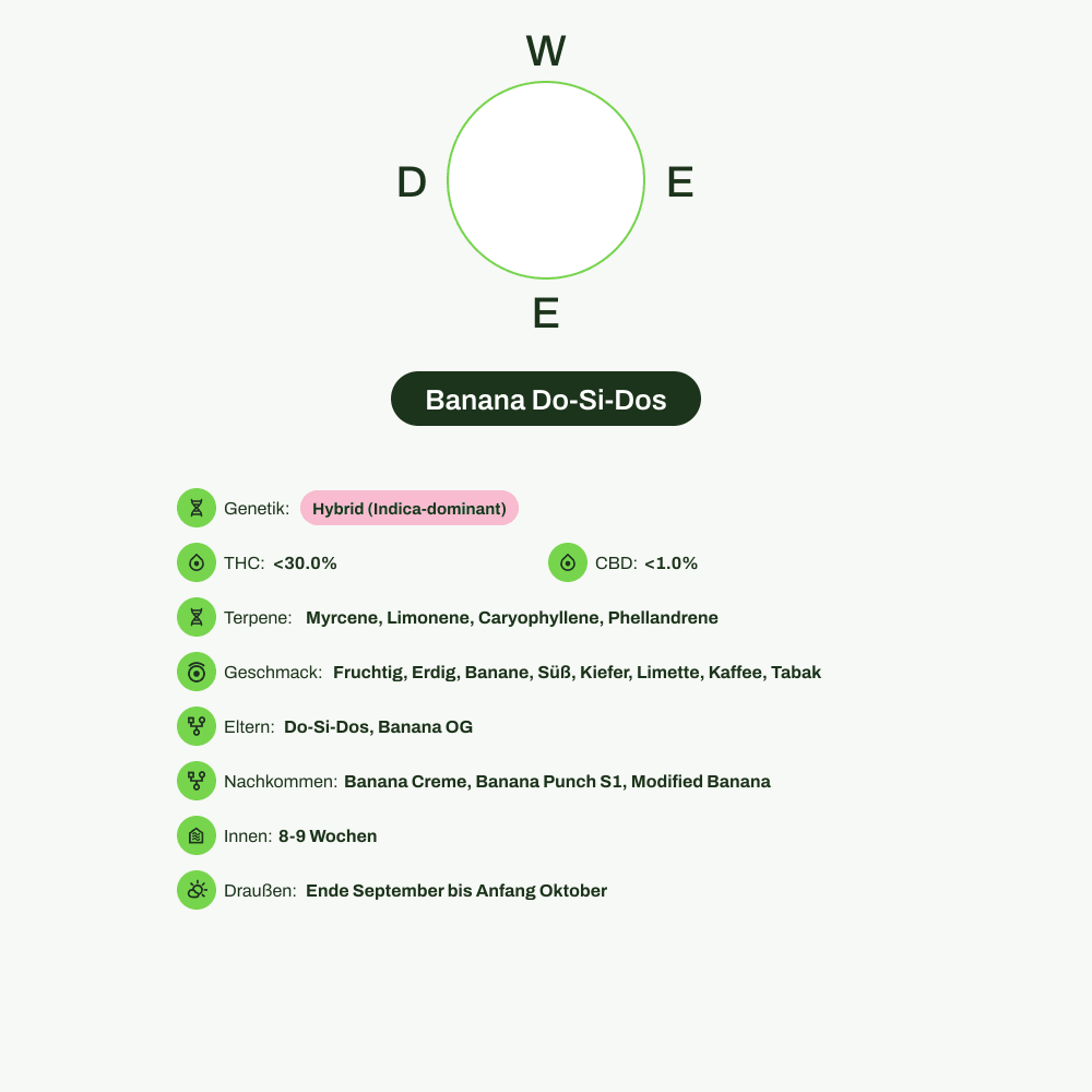 Infografik über THC-Gehalt, CBD-Gehalt, Terpene, Wirkungen, Geschmack von Banana Do-Si-Dos