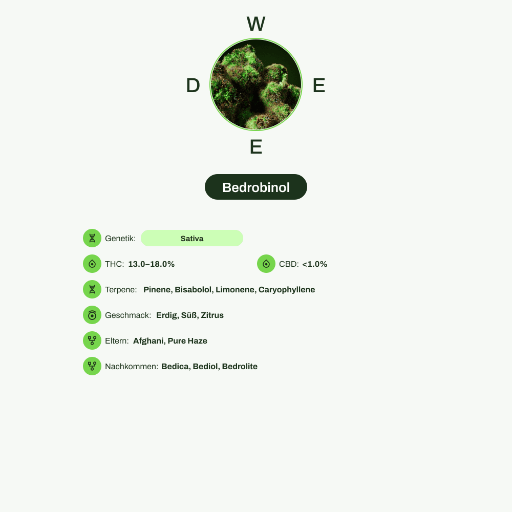 Infografik über THC-Gehalt, CBD-Gehalt, Terpene, Wirkungen, Geschmack von Bedrobinol