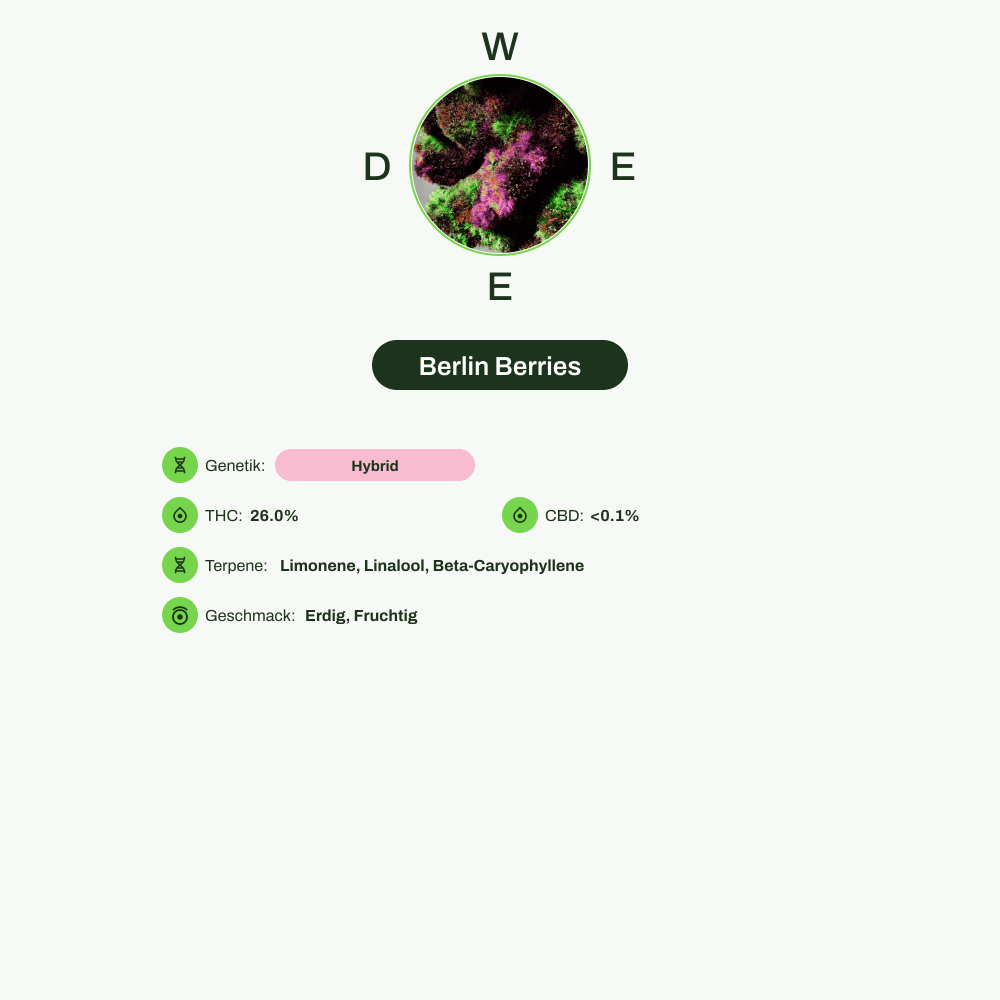 Infografik über THC-Gehalt, CBD-Gehalt, Terpene, Wirkungen, Geschmack von Berlin Berries