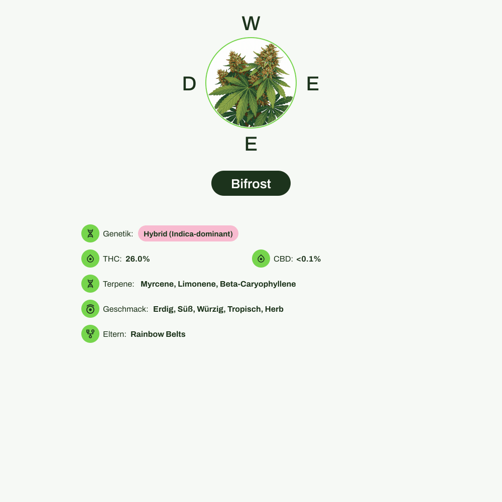 Infografik über THC-Gehalt, CBD-Gehalt, Terpene, Wirkungen, Geschmack von Bifrost