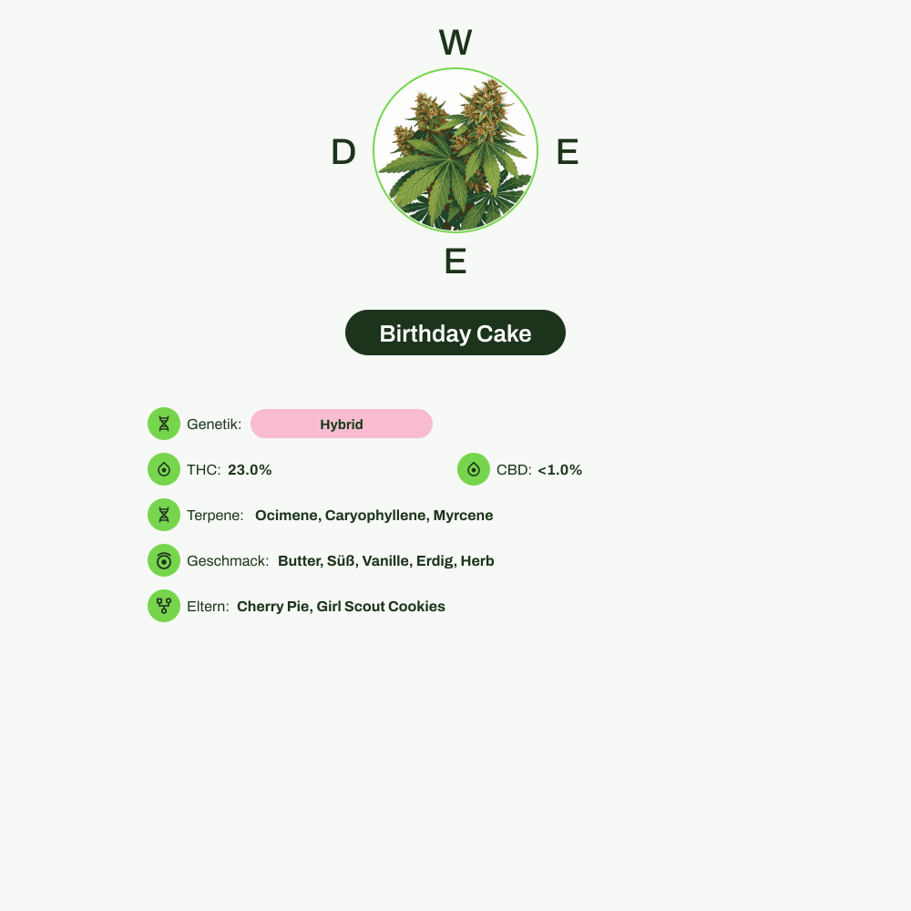 Infografik über THC-Gehalt, CBD-Gehalt, Terpene, Wirkungen, Geschmack von Birthday Cake