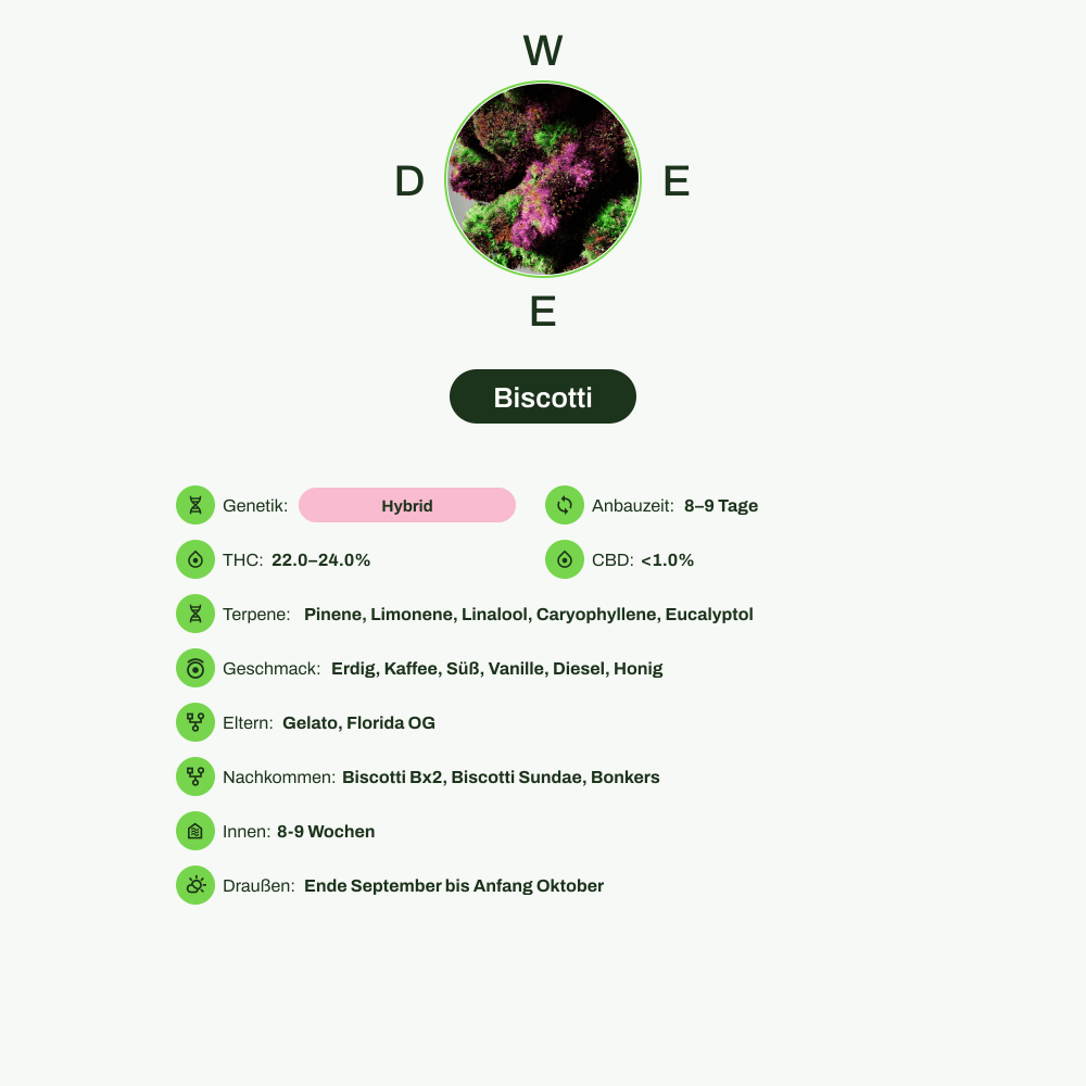 Infografik über THC-Gehalt, CBD-Gehalt, Terpene, Wirkungen, Geschmack von Biscotti
