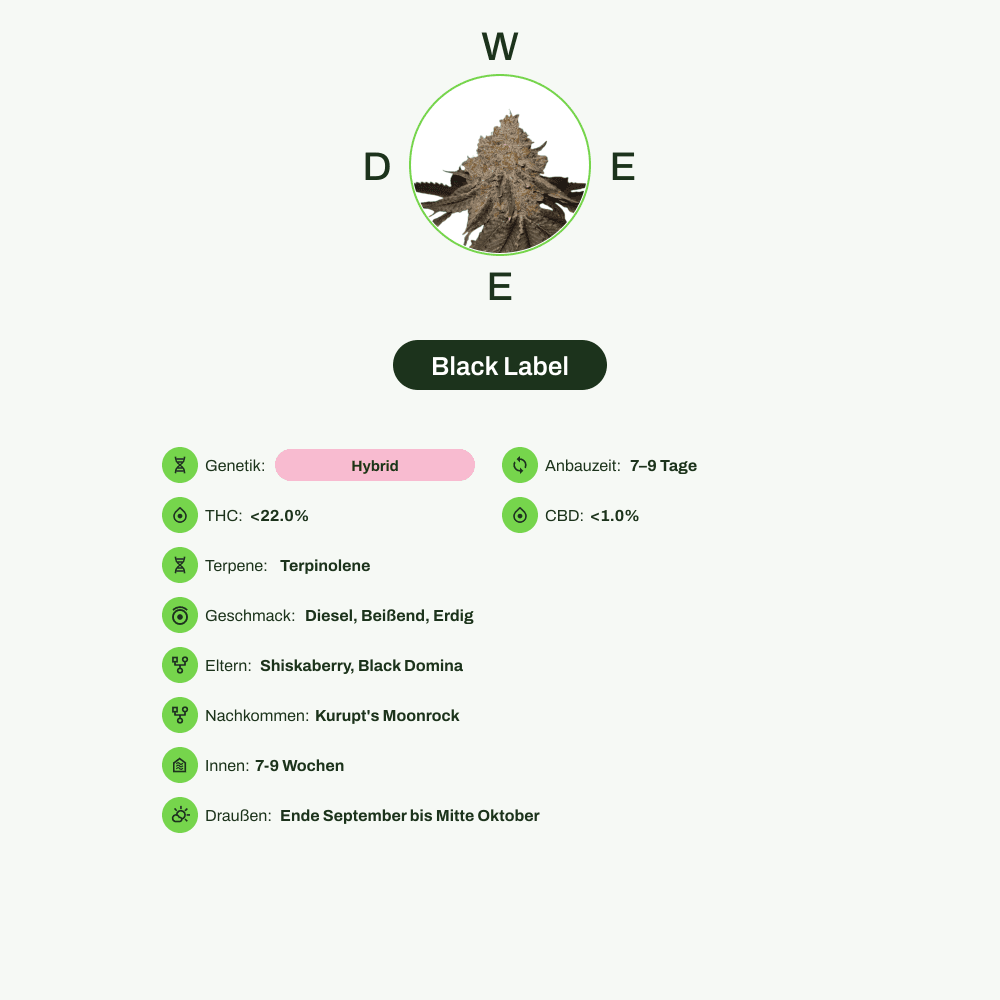 Infografik über THC-Gehalt, CBD-Gehalt, Terpene, Wirkungen, Geschmack von Black Label