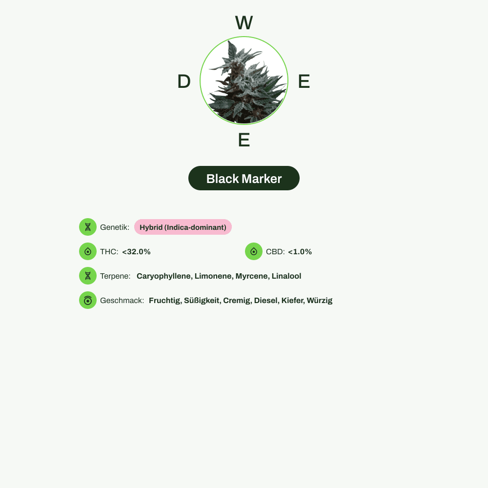 Infografik über THC-Gehalt, CBD-Gehalt, Terpene, Wirkungen, Geschmack von Black Marker