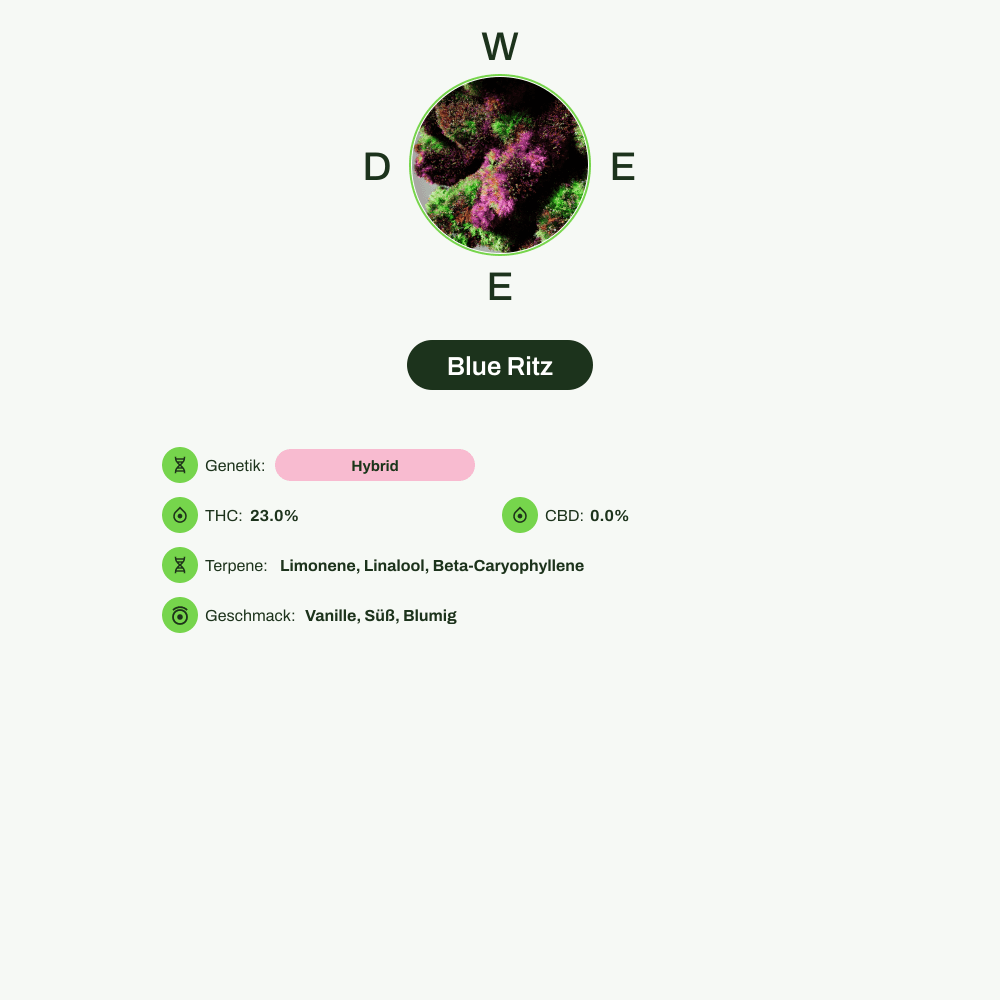 Infografik über THC-Gehalt, CBD-Gehalt, Terpene, Wirkungen, Geschmack von Blue Ritz