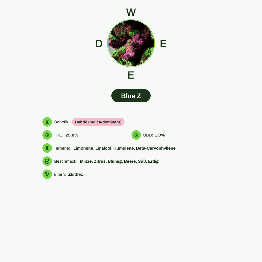 Infografik über THC-Gehalt, CBD-Gehalt, Terpene, Wirkungen, Geschmack von Blue Z