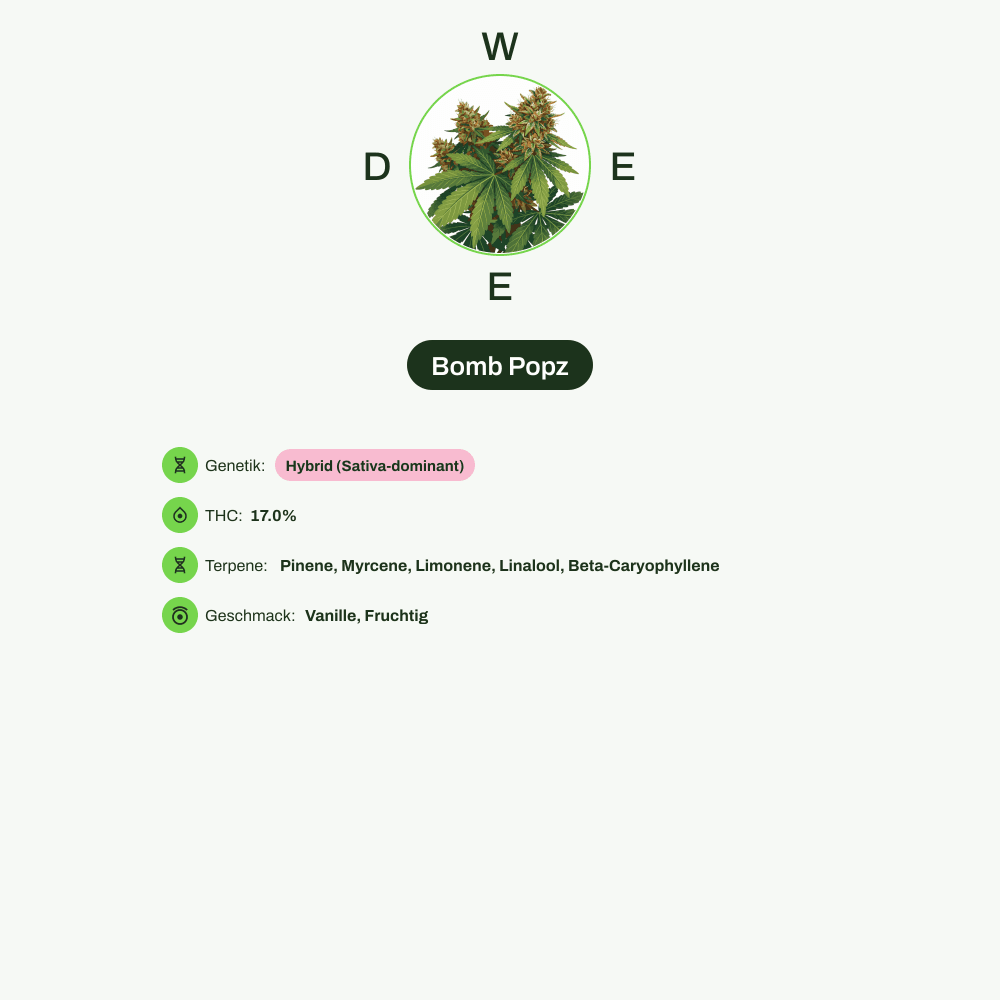 Infografik über THC-Gehalt, CBD-Gehalt, Terpene, Wirkungen, Geschmack von Bomb Popz