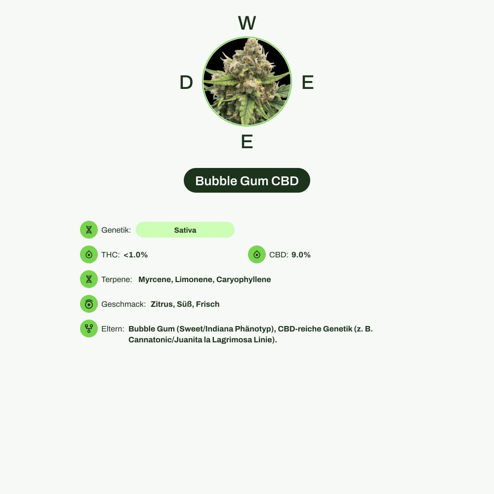 Infografik über THC-Gehalt, CBD-Gehalt, Terpene, Wirkungen, Geschmack von Bubble Gum CBD