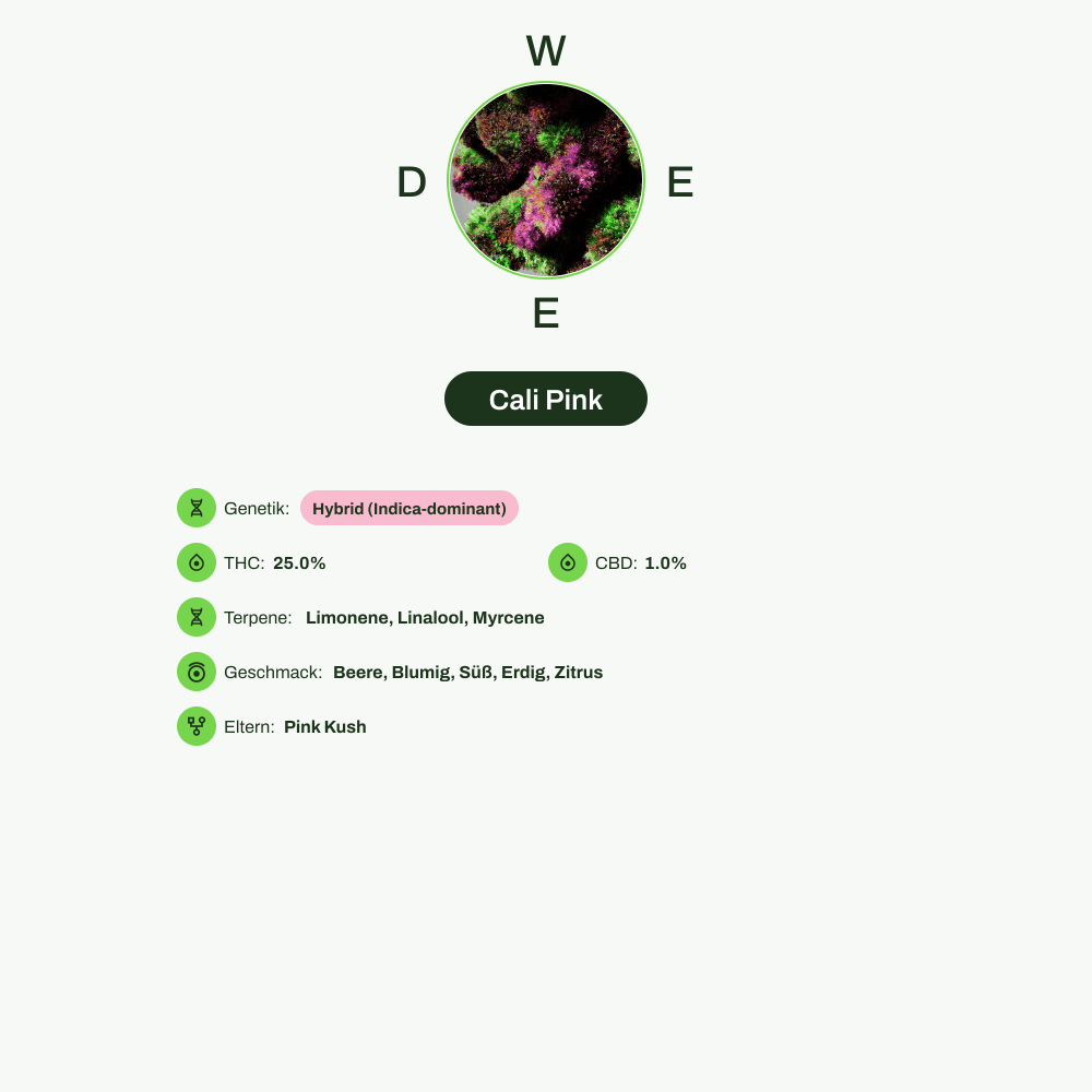 Infografik über THC-Gehalt, CBD-Gehalt, Terpene, Wirkungen, Geschmack von Cali Pink