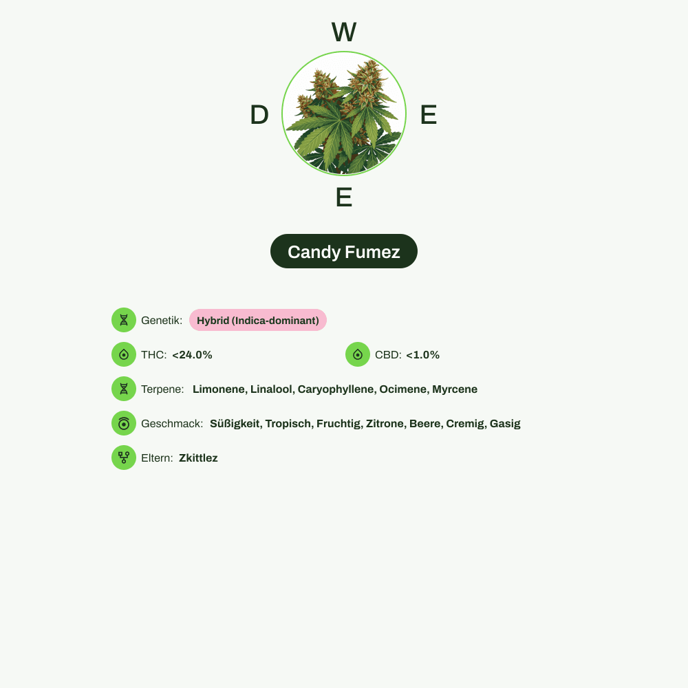 Infografik über THC-Gehalt, CBD-Gehalt, Terpene, Wirkungen, Geschmack von Candy Fumez