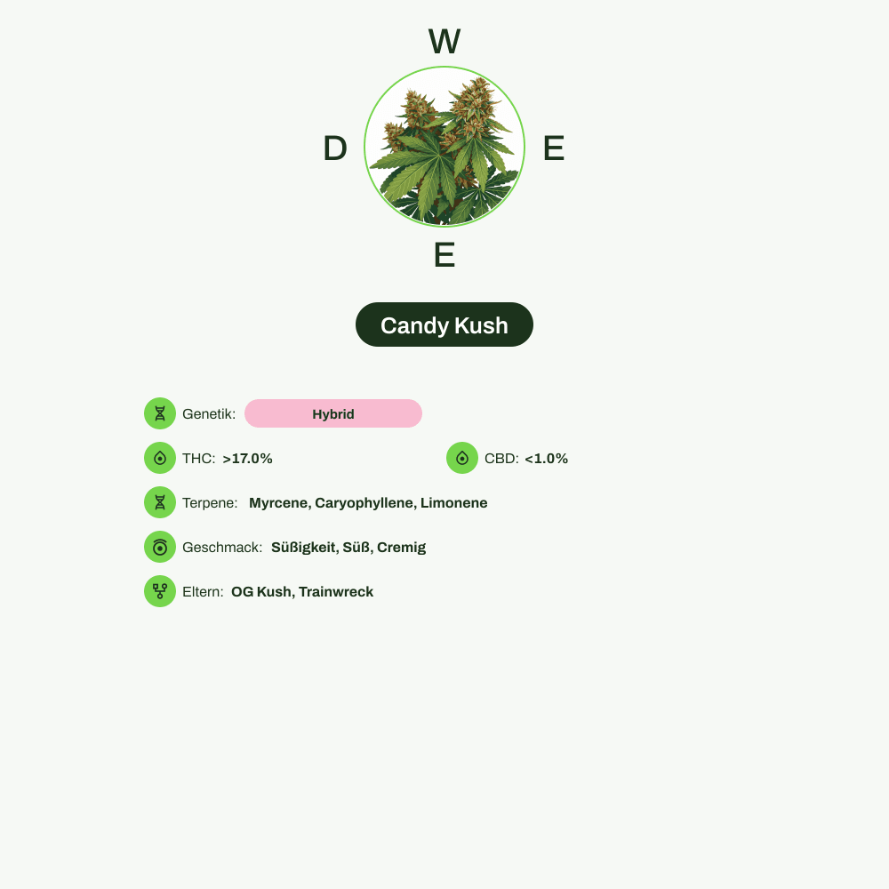 Infografik über THC-Gehalt, CBD-Gehalt, Terpene, Wirkungen, Geschmack von Candy Kush