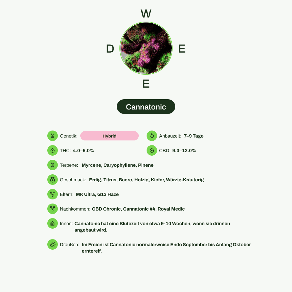 Infografik über THC-Gehalt, CBD-Gehalt, Terpene, Wirkungen, Geschmack von Cannatonic