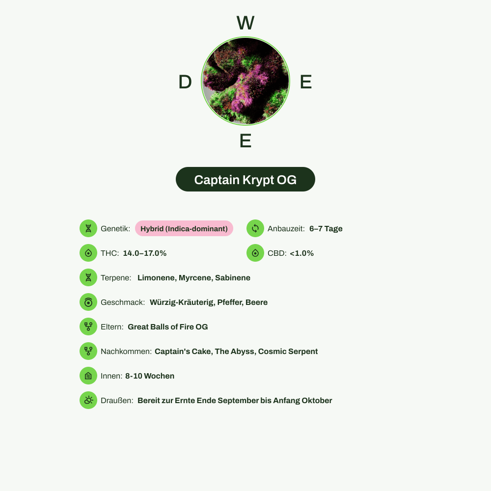 Infografik über THC-Gehalt, CBD-Gehalt, Terpene, Wirkungen, Geschmack von Captain Krypt OG