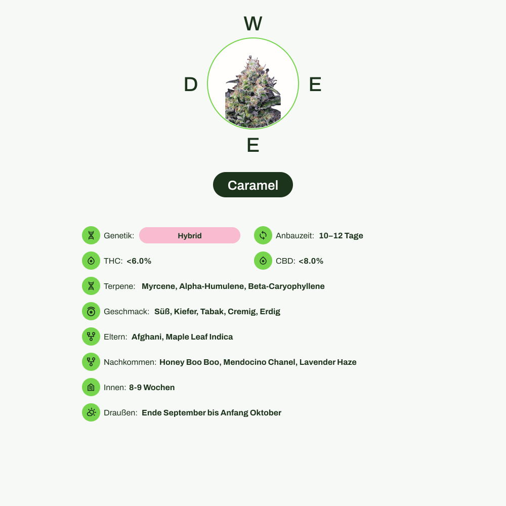 Infografik über THC-Gehalt, CBD-Gehalt, Terpene, Wirkungen, Geschmack von Caramel