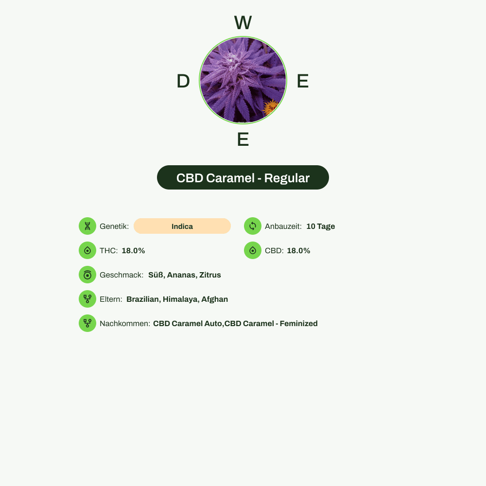 Infografik über THC-Gehalt, CBD-Gehalt, Terpene, Wirkungen, Geschmack von CBD Caramel - Regular