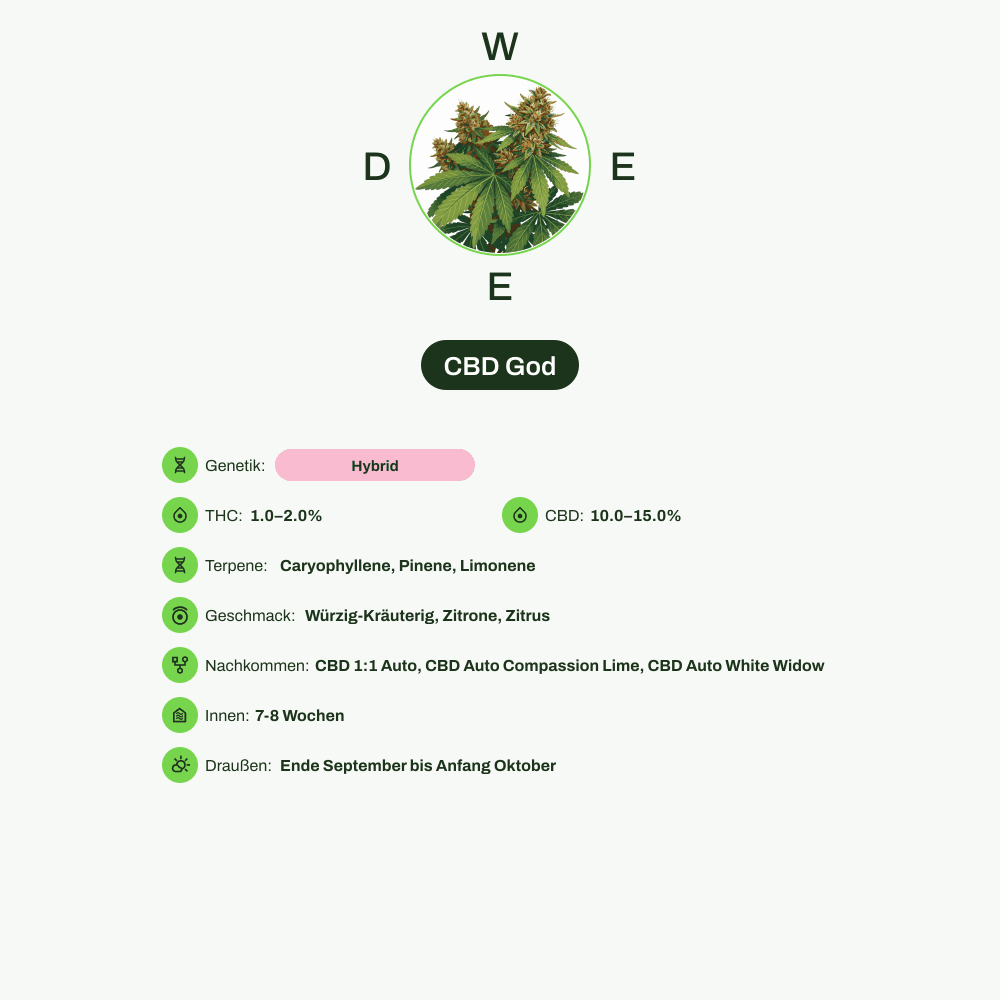 Infografik über THC-Gehalt, CBD-Gehalt, Terpene, Wirkungen, Geschmack von CBD God