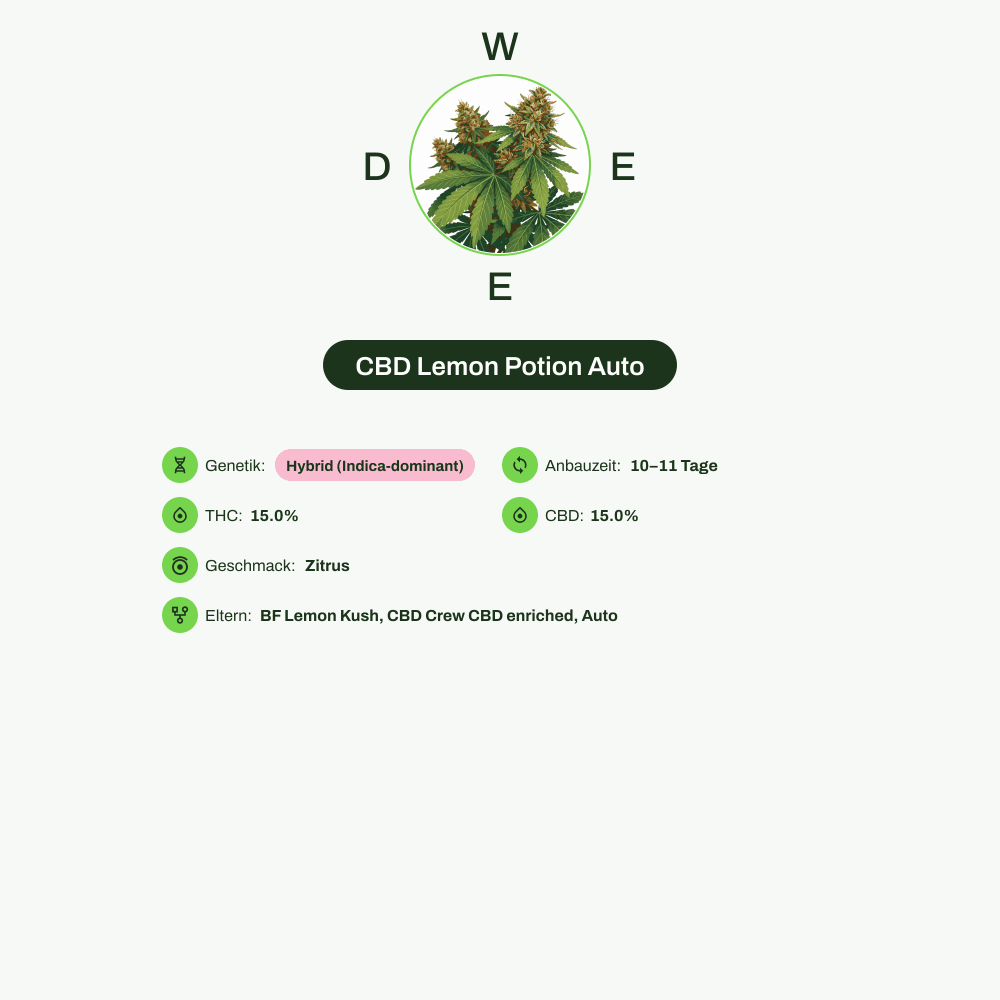 Infografik über THC-Gehalt, CBD-Gehalt, Terpene, Wirkungen, Geschmack von CBD Lemon Potion Auto