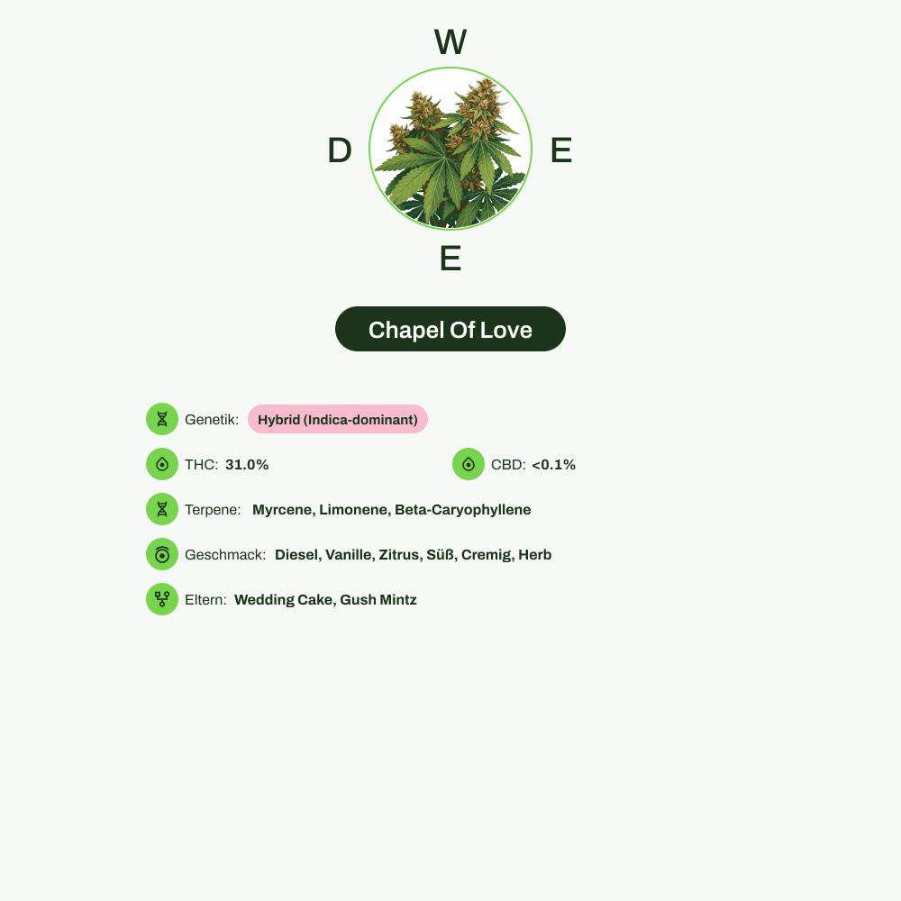Infografik über THC-Gehalt, CBD-Gehalt, Terpene, Wirkungen, Geschmack von Chapel Of Love