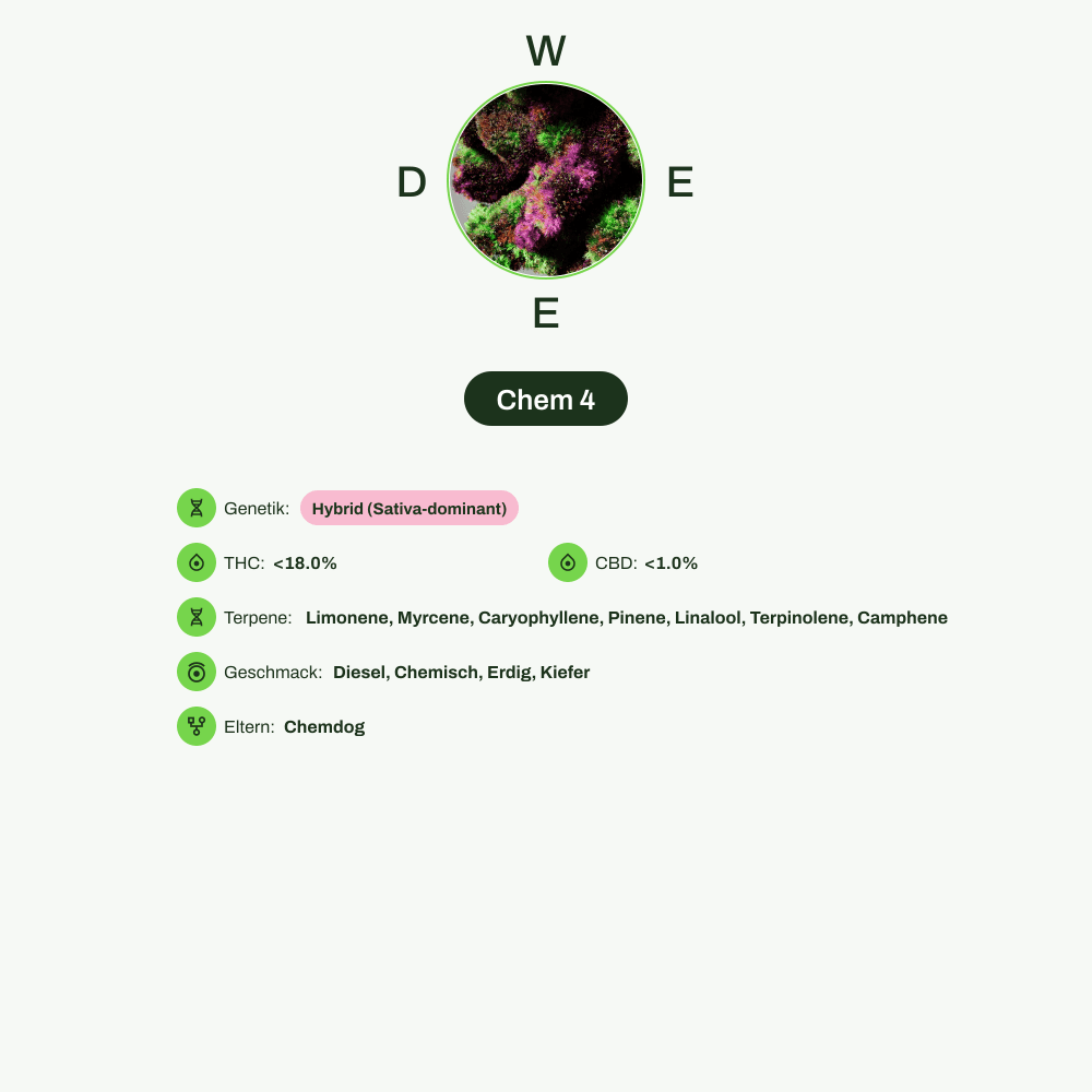 Infografik über THC-Gehalt, CBD-Gehalt, Terpene, Wirkungen, Geschmack von Chem 4