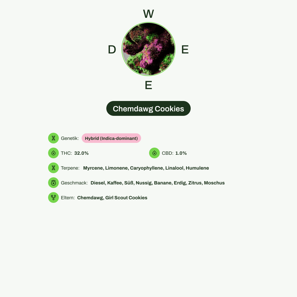 Infografik über THC-Gehalt, CBD-Gehalt, Terpene, Wirkungen, Geschmack von Chemdawg Cookies
