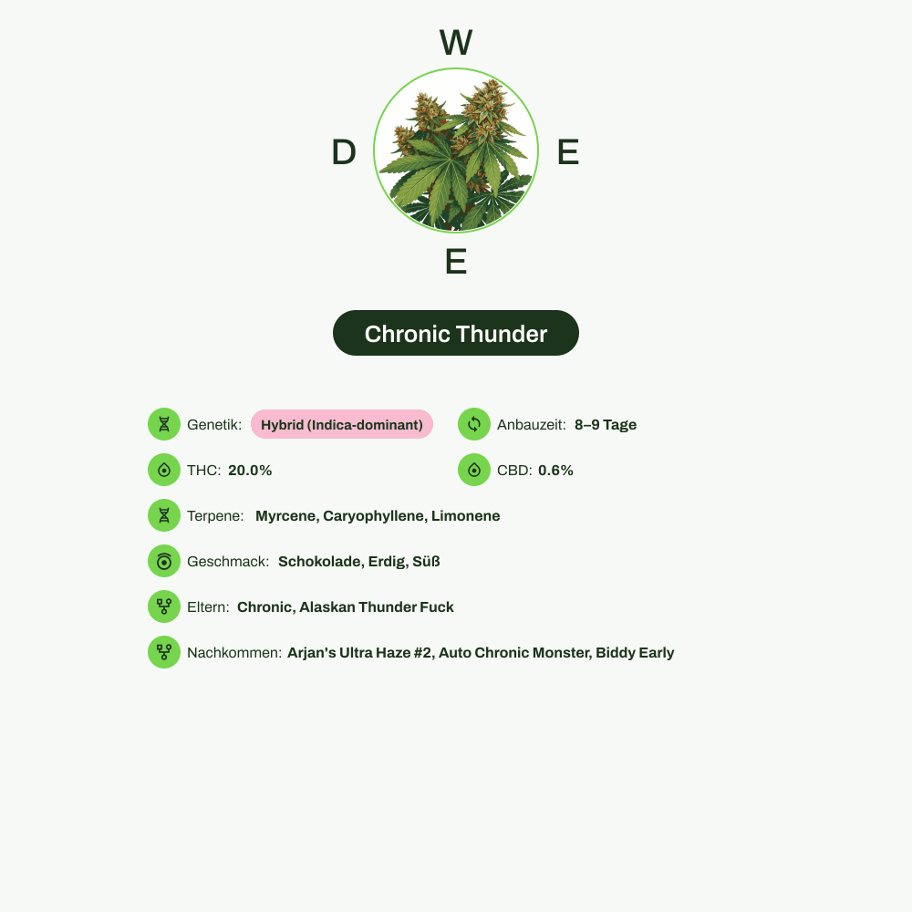 Infografik über THC-Gehalt, CBD-Gehalt, Terpene, Wirkungen, Geschmack von Chronic Thunder