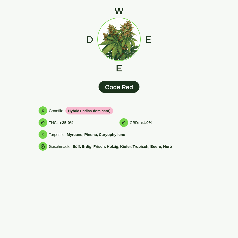 Infografik über THC-Gehalt, CBD-Gehalt, Terpene, Wirkungen, Geschmack von Code Red