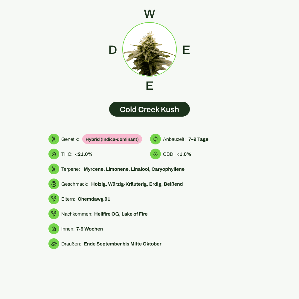 Infografik über THC-Gehalt, CBD-Gehalt, Terpene, Wirkungen, Geschmack von Cold Creek Kush