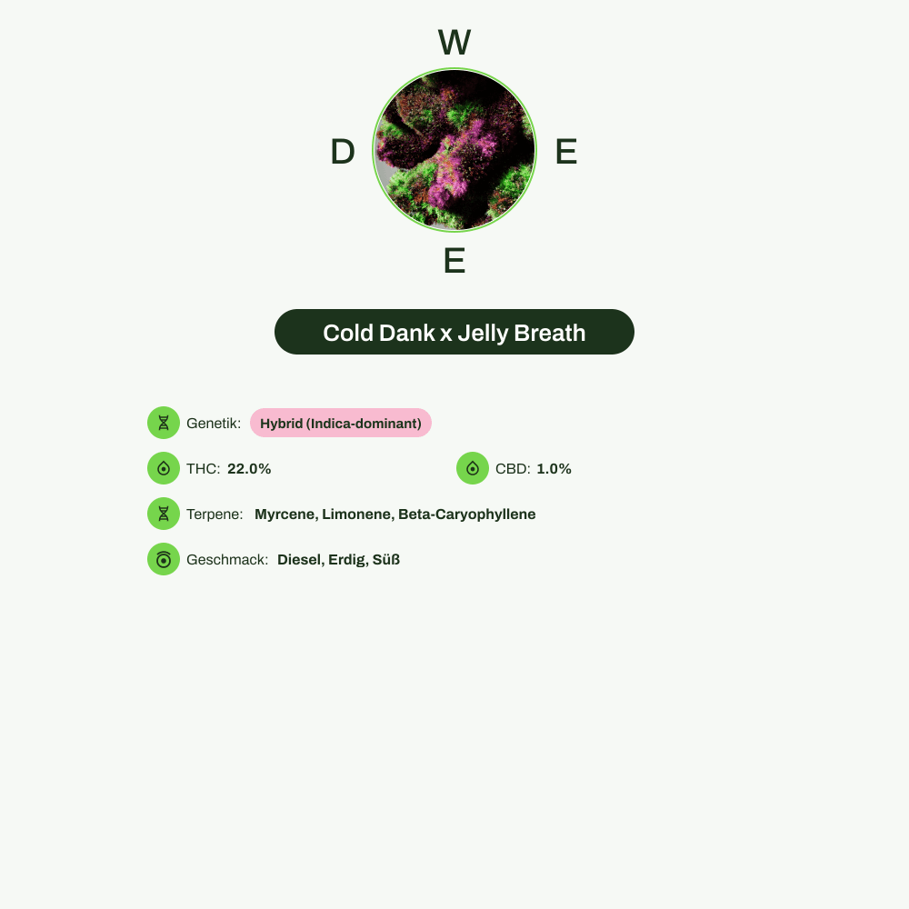 Infografik über THC-Gehalt, CBD-Gehalt, Terpene, Wirkungen, Geschmack von Cold Dank x Jelly Breath