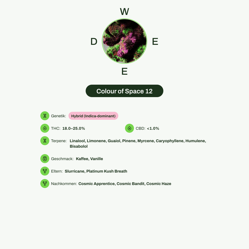 Infografik über THC-Gehalt, CBD-Gehalt, Terpene, Wirkungen, Geschmack von Colour of Space 12