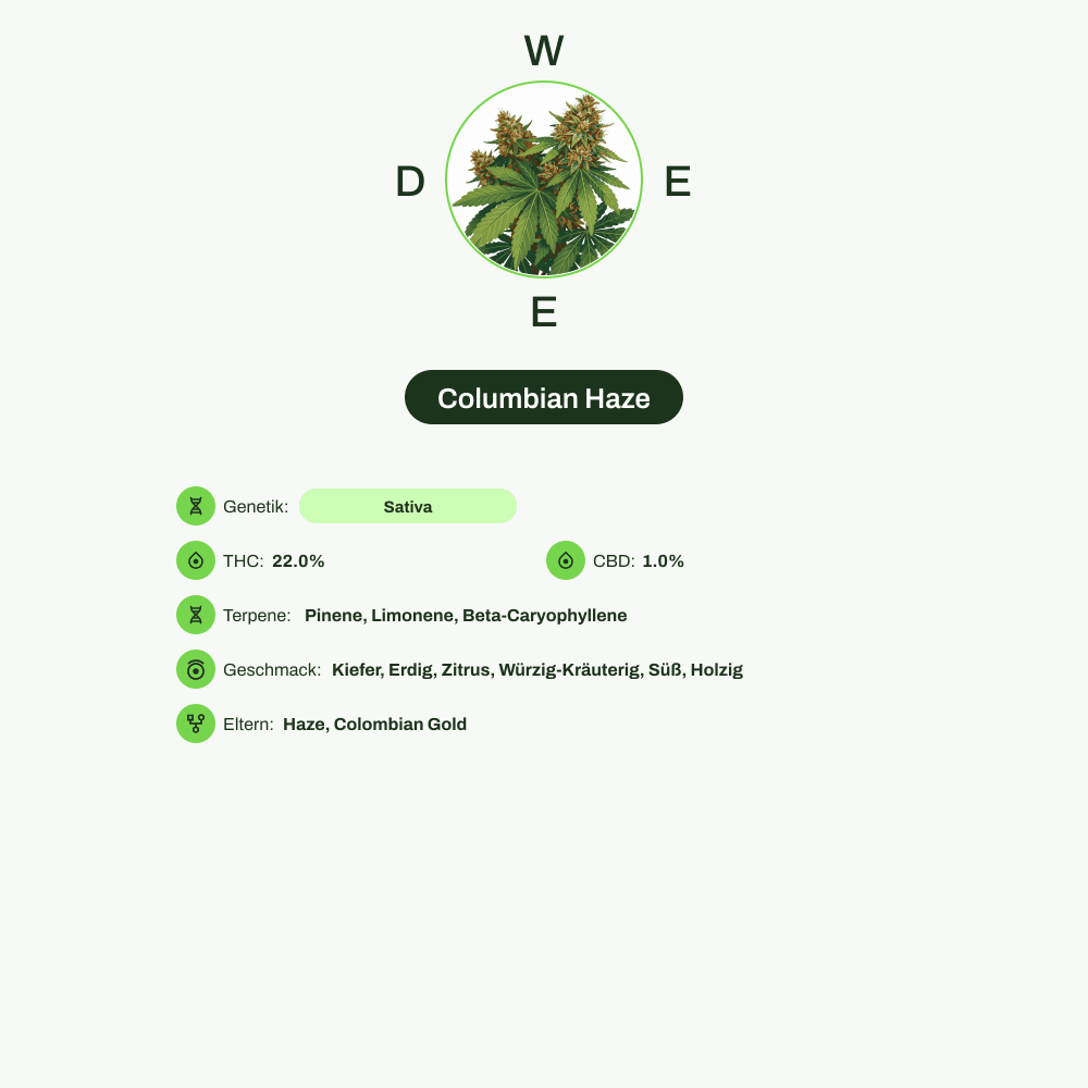 Infografik über THC-Gehalt, CBD-Gehalt, Terpene, Wirkungen, Geschmack von Columbian Haze