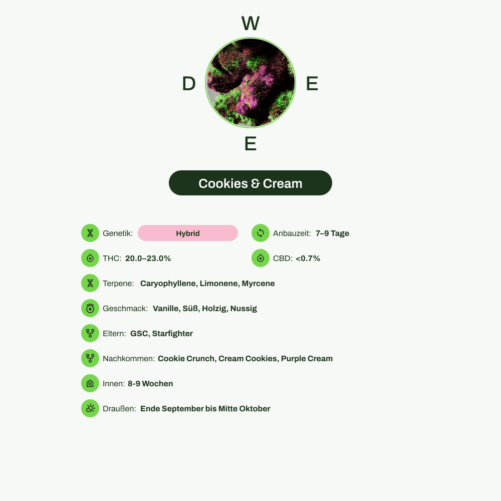 Infografik über THC-Gehalt, CBD-Gehalt, Terpene, Wirkungen, Geschmack von Cookies & Cream