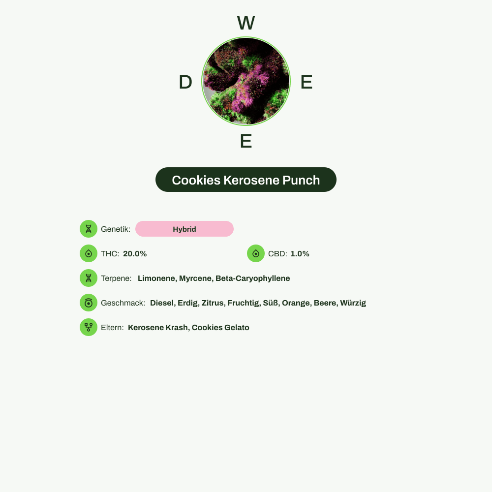 Infografik über THC-Gehalt, CBD-Gehalt, Terpene, Wirkungen, Geschmack von Cookies Kerosene Punch