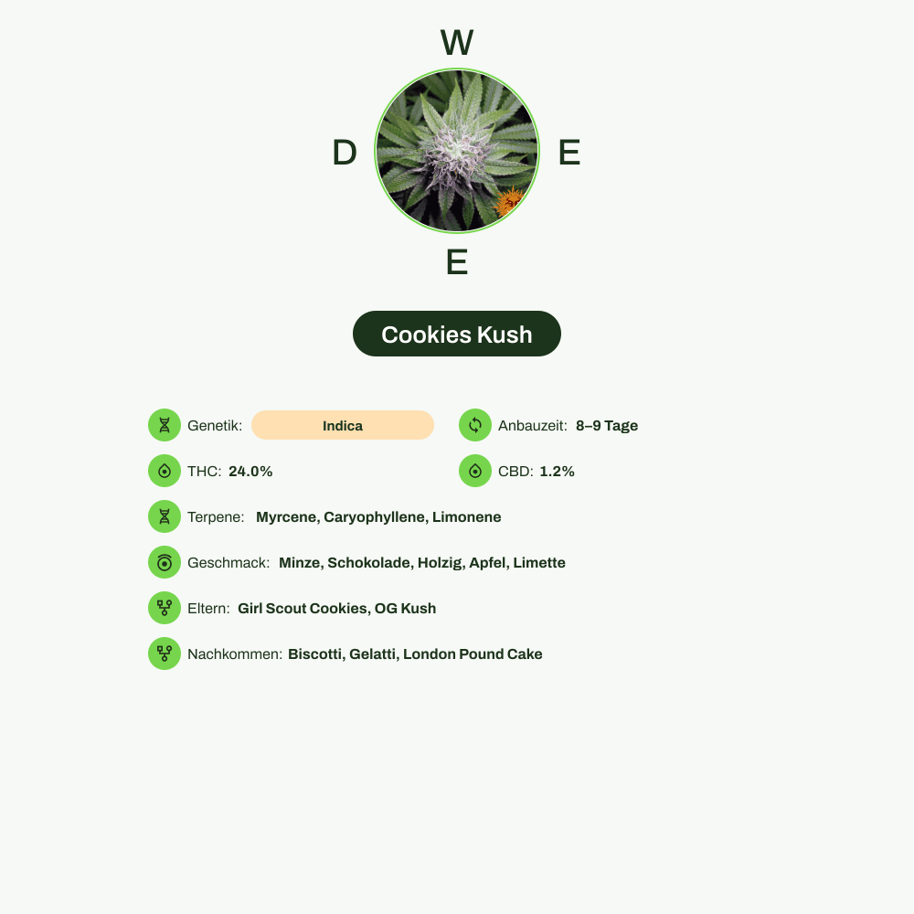 Infografik über THC-Gehalt, CBD-Gehalt, Terpene, Wirkungen, Geschmack von Cookies Kush