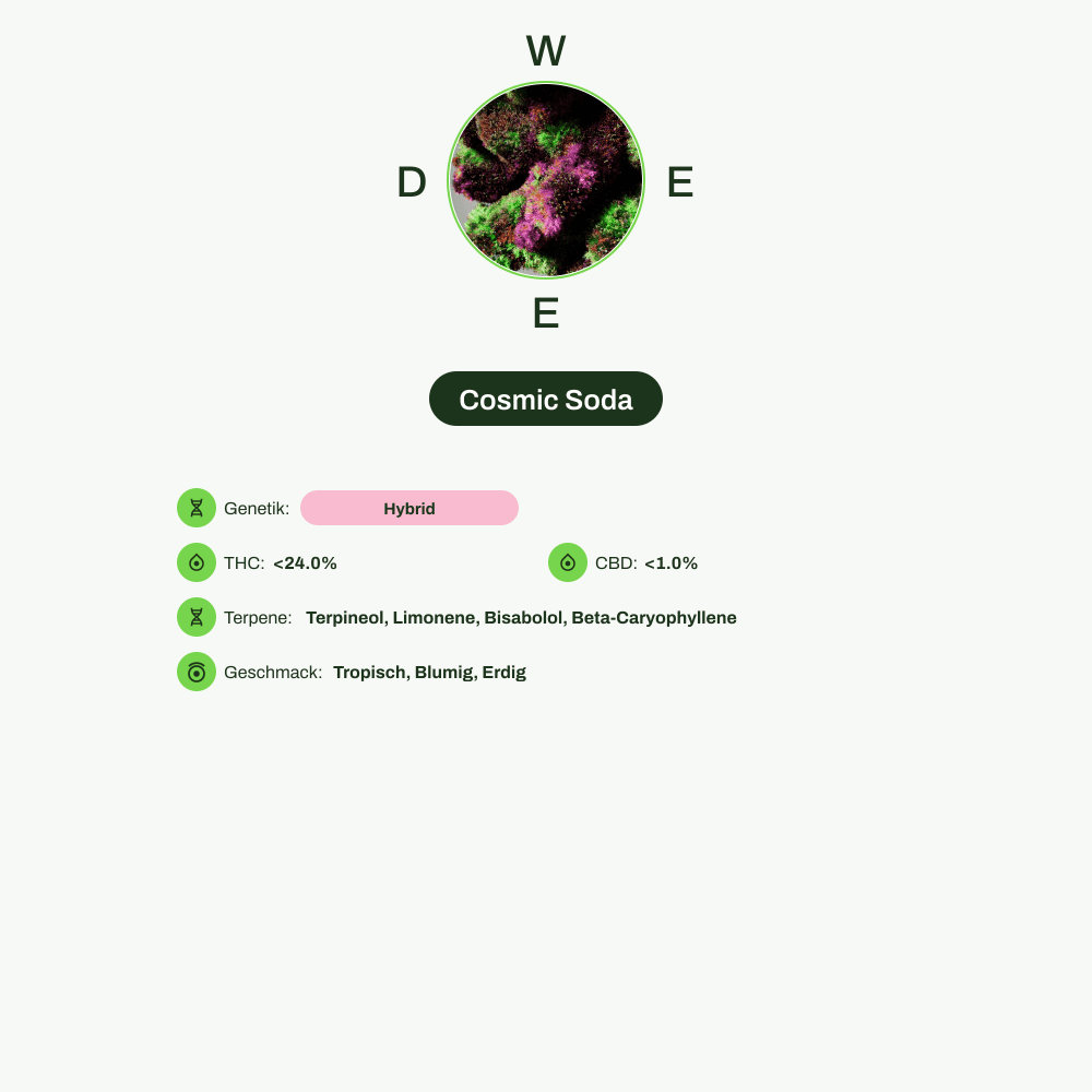 Infografik über THC-Gehalt, CBD-Gehalt, Terpene, Wirkungen, Geschmack von Cosmic Soda