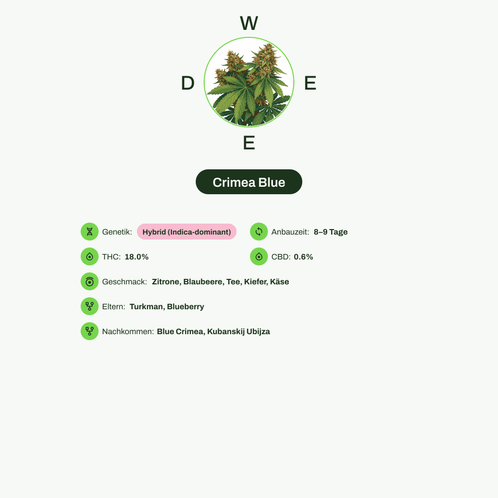 Infografik über THC-Gehalt, CBD-Gehalt, Terpene, Wirkungen, Geschmack von Crimea Blue