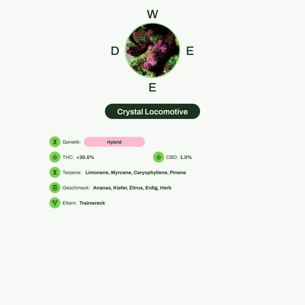 Infografik über THC-Gehalt, CBD-Gehalt, Terpene, Wirkungen, Geschmack von Crystal Locomotive
