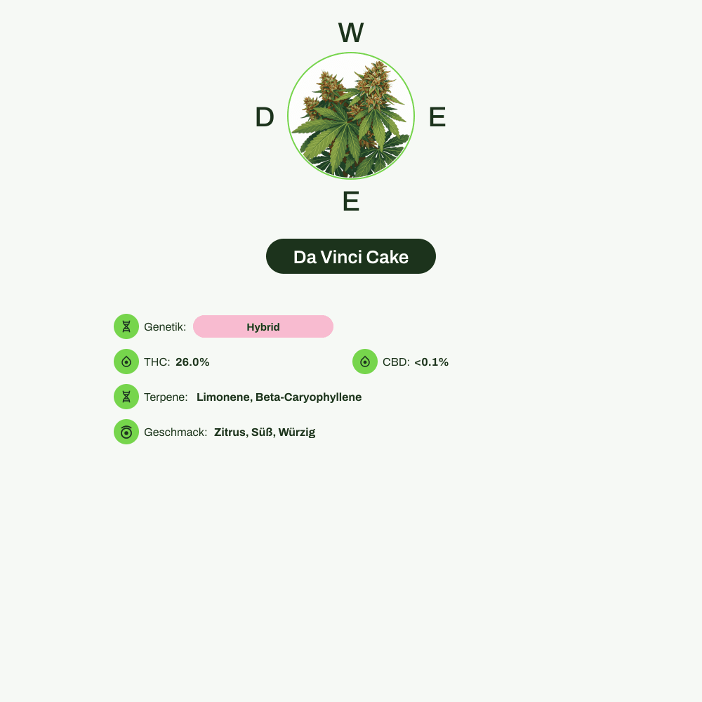 Infografik über THC-Gehalt, CBD-Gehalt, Terpene, Wirkungen, Geschmack von Da Vinci Cake