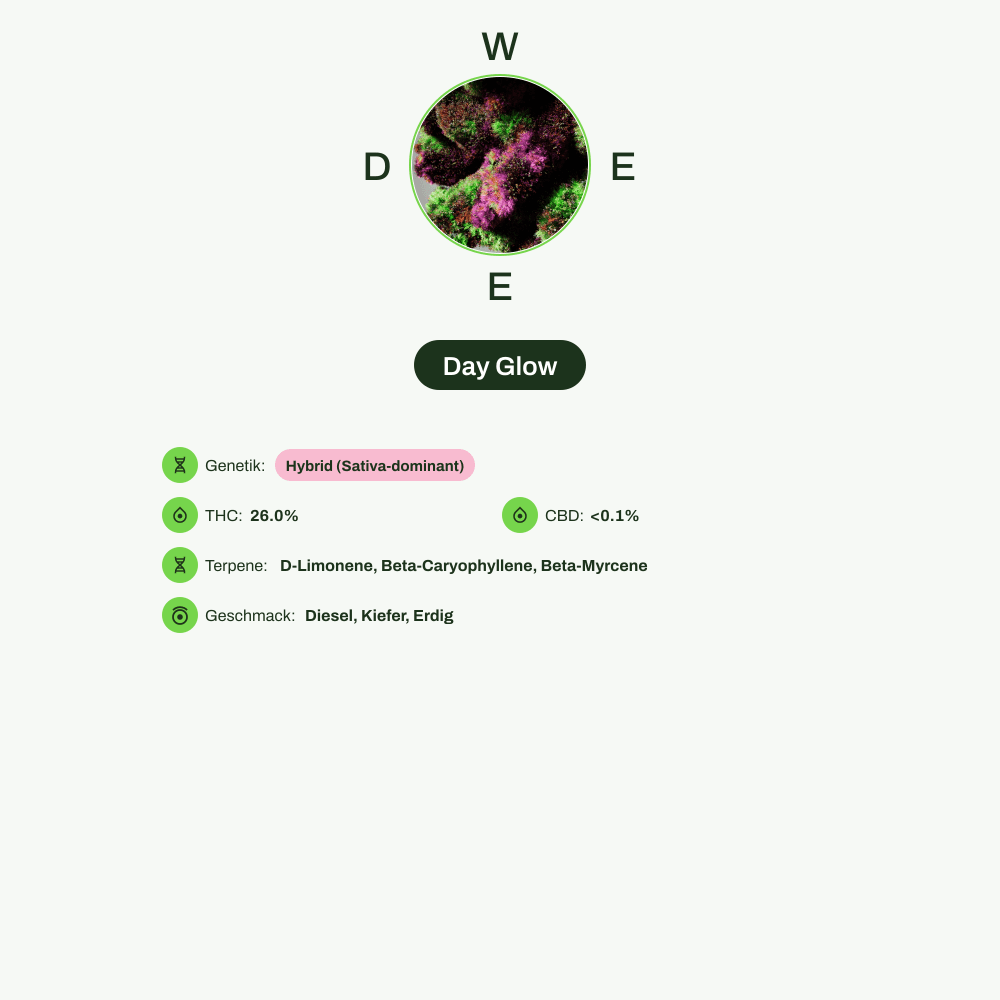Infografik über THC-Gehalt, CBD-Gehalt, Terpene, Wirkungen, Geschmack von Day Glow