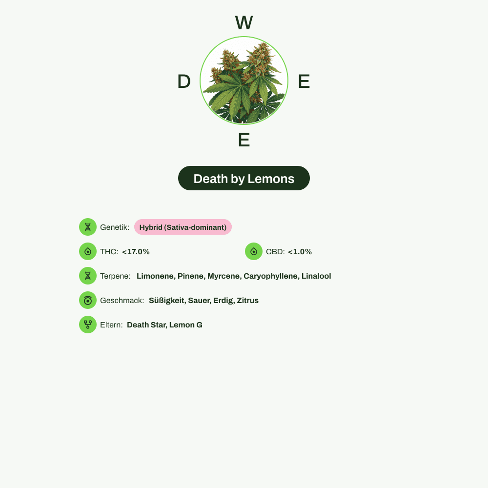 Infografik über THC-Gehalt, CBD-Gehalt, Terpene, Wirkungen, Geschmack von Death by Lemons
