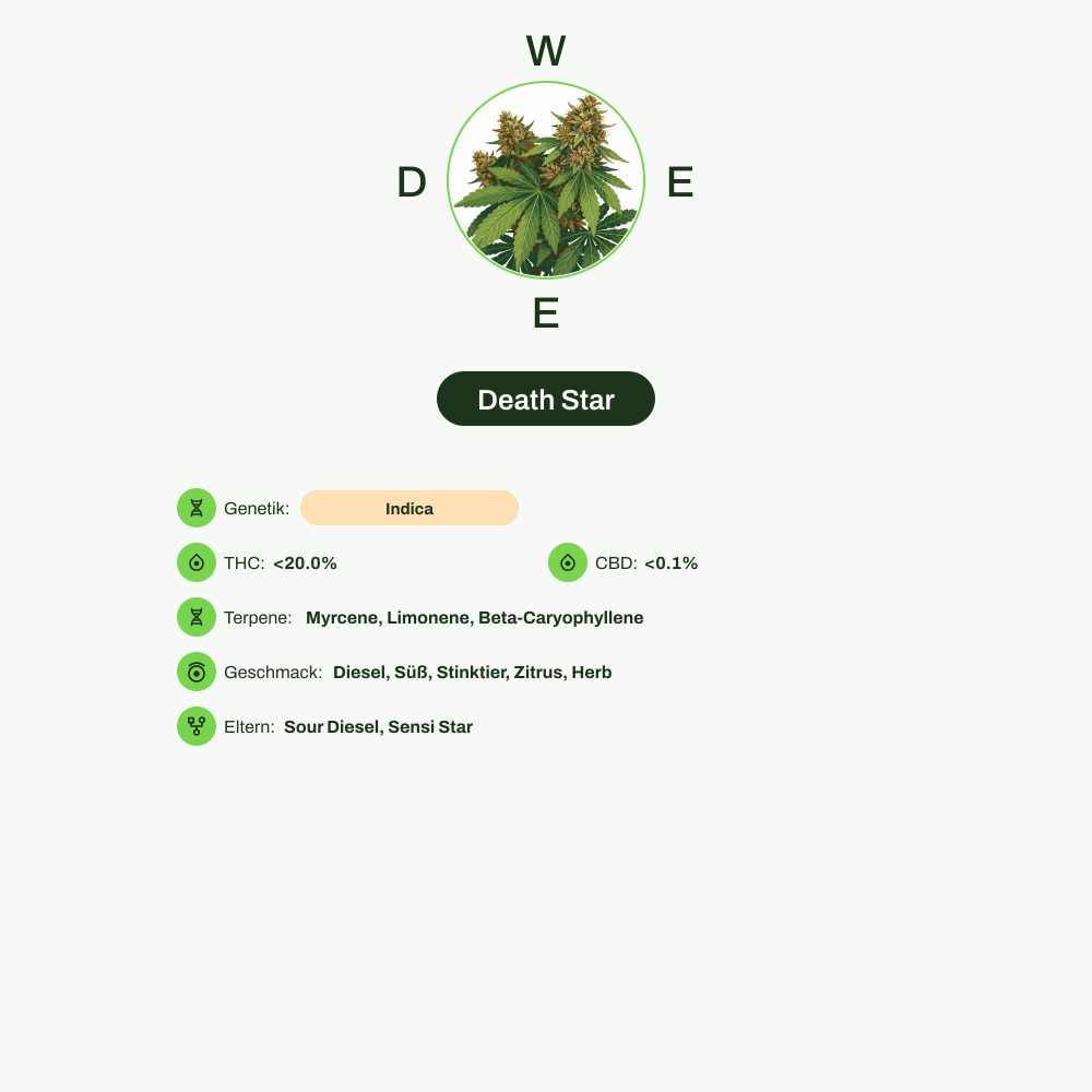 Infografik über THC-Gehalt, CBD-Gehalt, Terpene, Wirkungen, Geschmack von Death Star