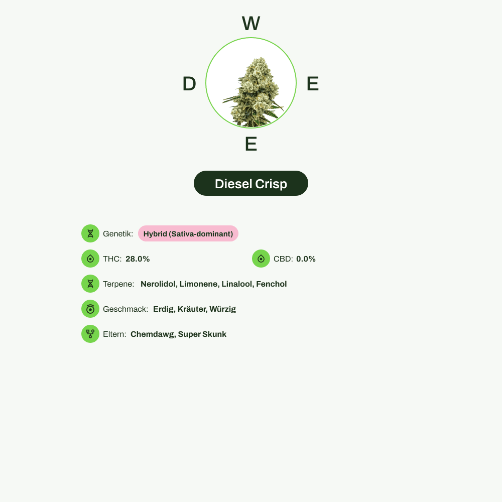 Infografik über THC-Gehalt, CBD-Gehalt, Terpene, Wirkungen, Geschmack von Diesel Crisp