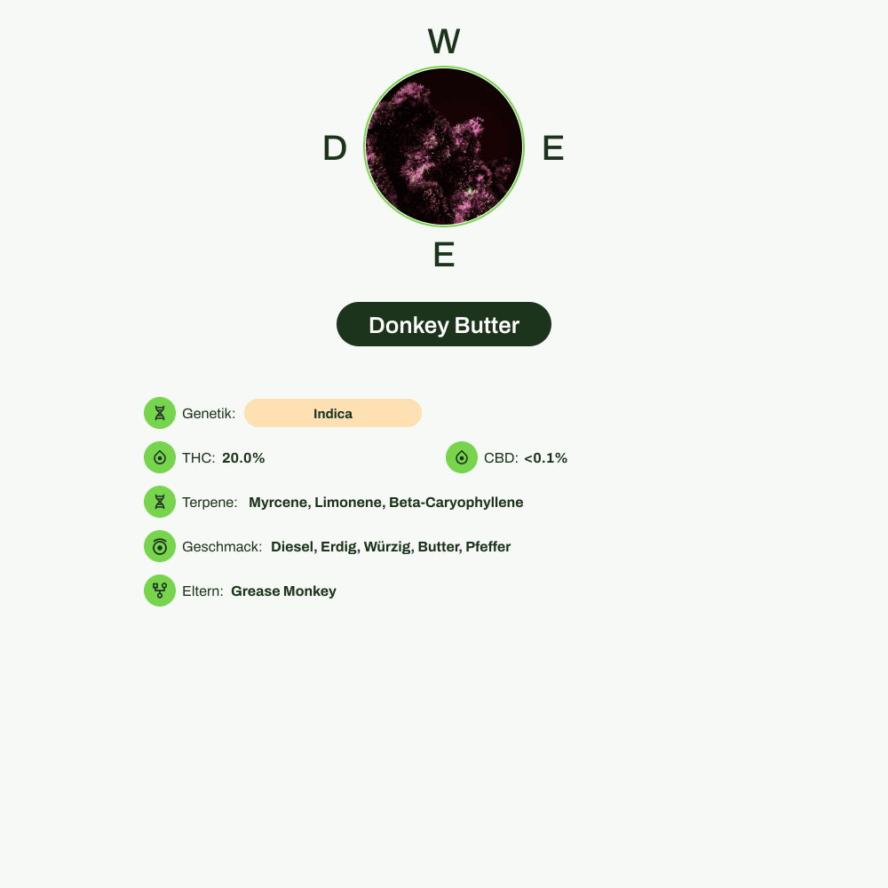 Infografik über THC-Gehalt, CBD-Gehalt, Terpene, Wirkungen, Geschmack von Donkey Butter