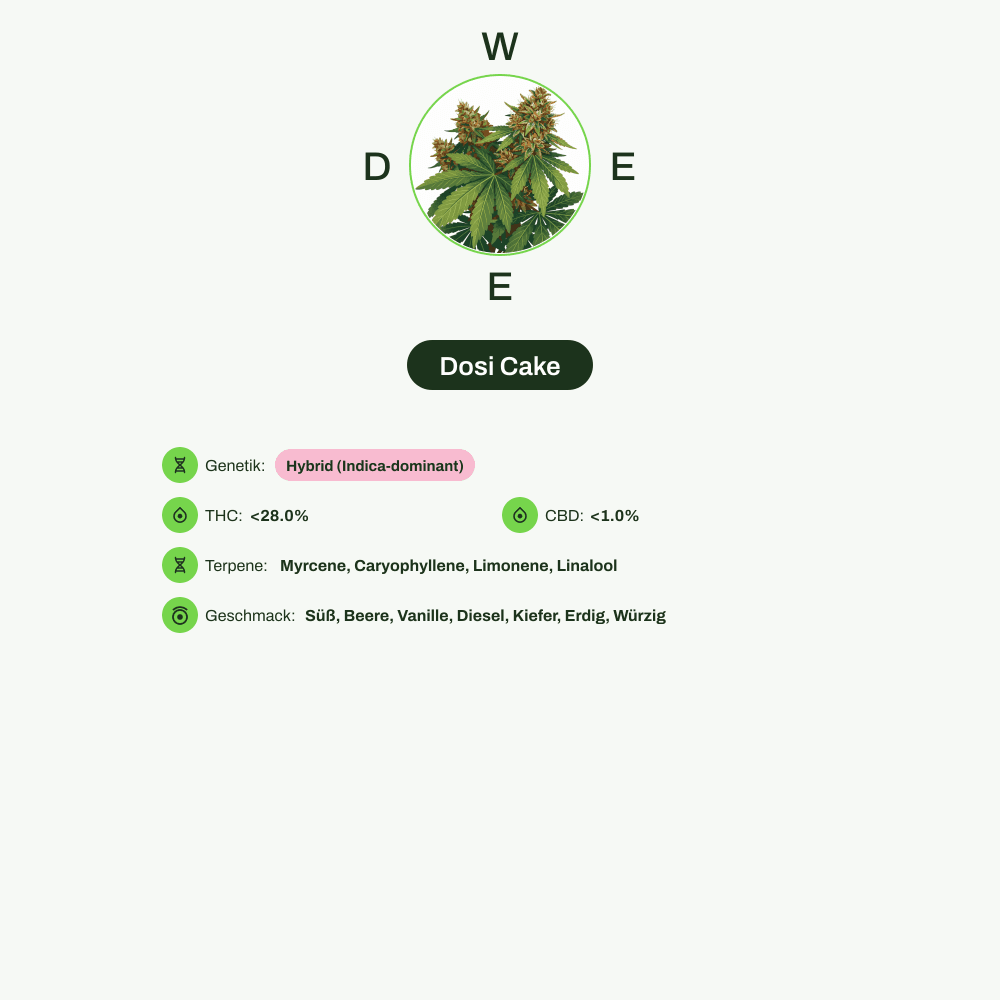 Infografik über THC-Gehalt, CBD-Gehalt, Terpene, Wirkungen, Geschmack von Dosi Cake