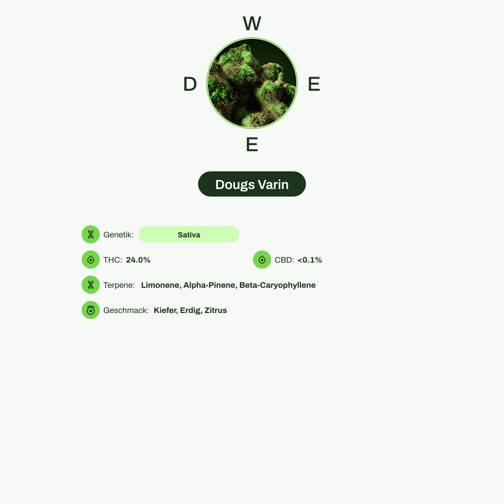 Infografik über THC-Gehalt, CBD-Gehalt, Terpene, Wirkungen, Geschmack von Dougs Varin